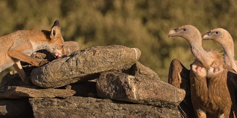 Winnende foto van Paul Groefsema