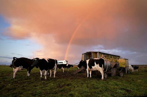 Afbeelding 1 Arno.jpg