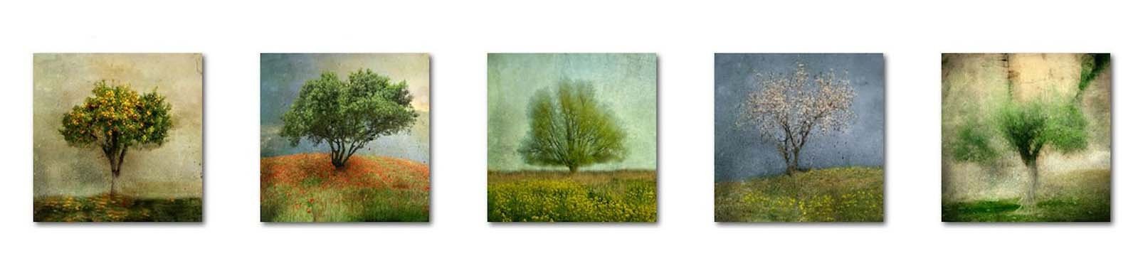 Jacqueline_van_Bijnen