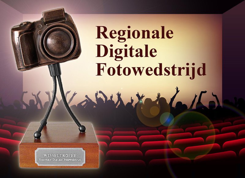 RDF2019-Affiche-01.jpg