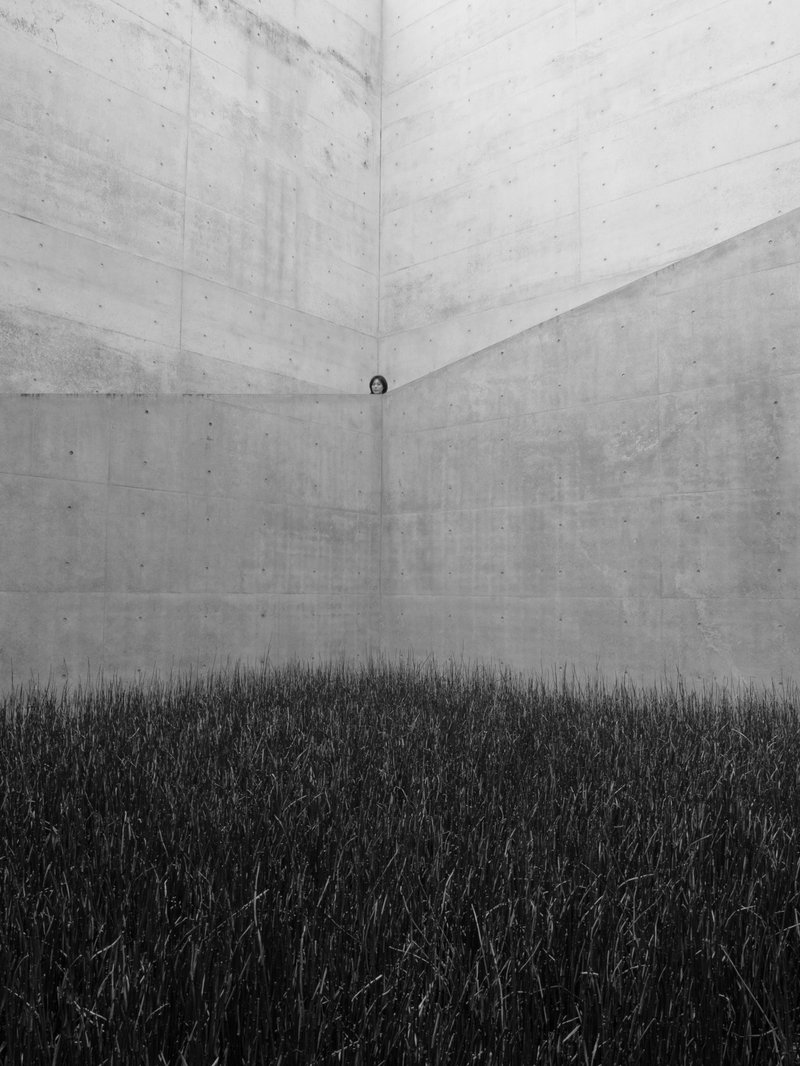 Wies van Oene - Vrij werk