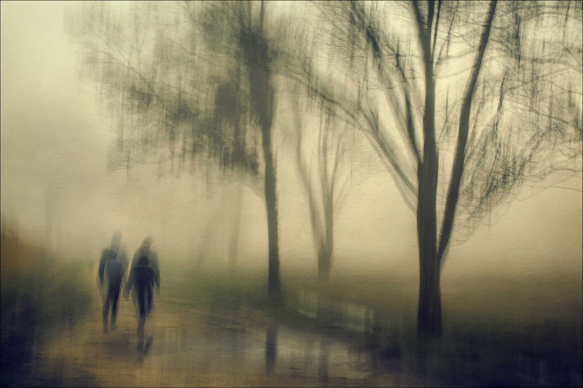 Eerste plaats, 'Ochtendmist wandeling' © Ab Postma