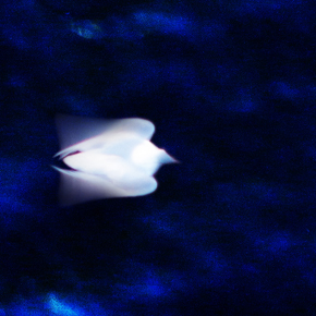 3003413-01 72dpi.jpg