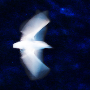 3003413-02 72dpi.jpg