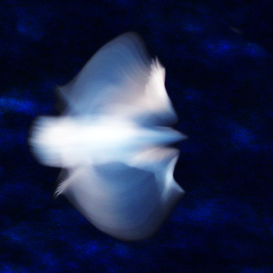 3003413-03 72dpi.jpg