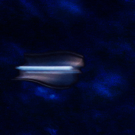 3003413-05 72dpi.jpg