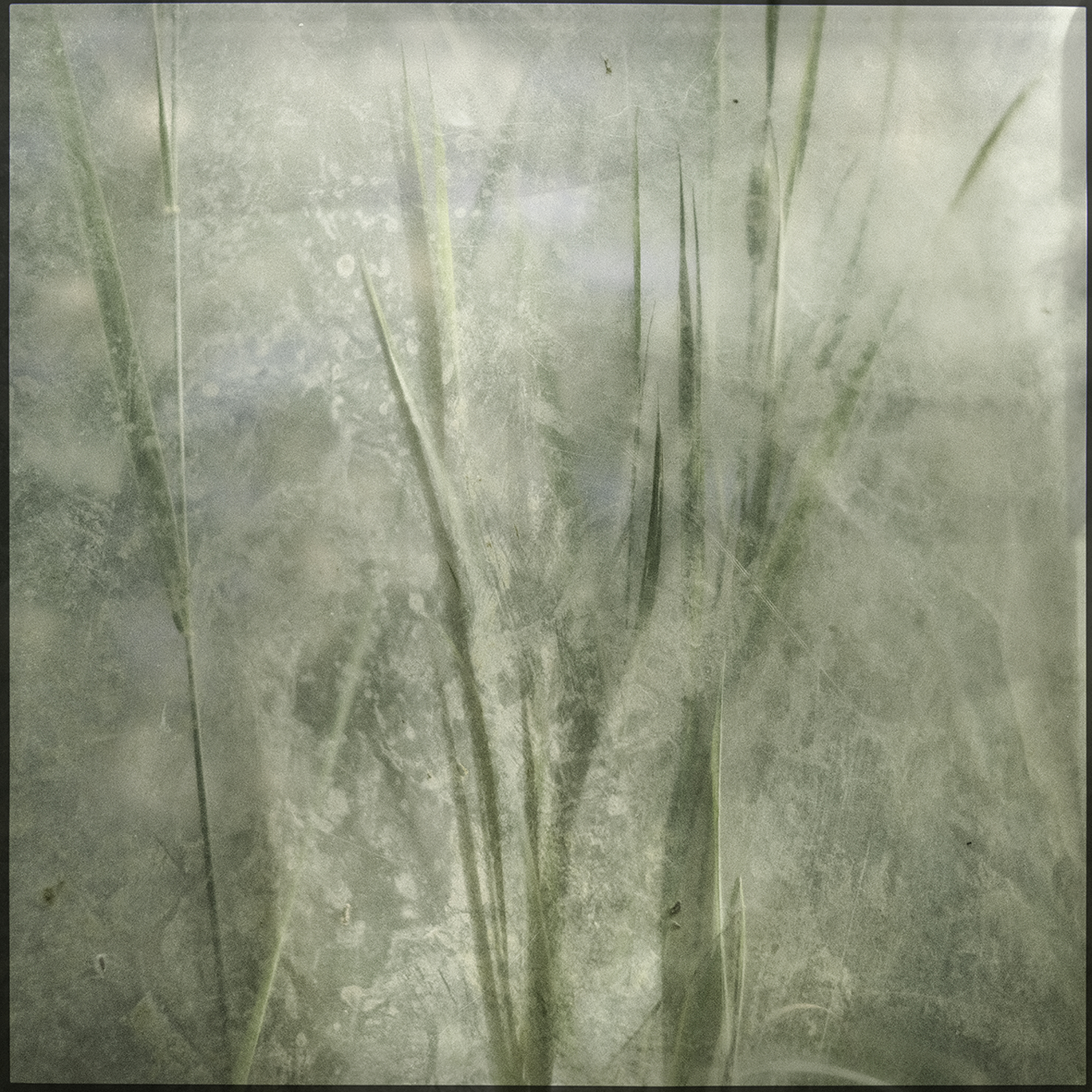 Bert Strootman 04.jpg