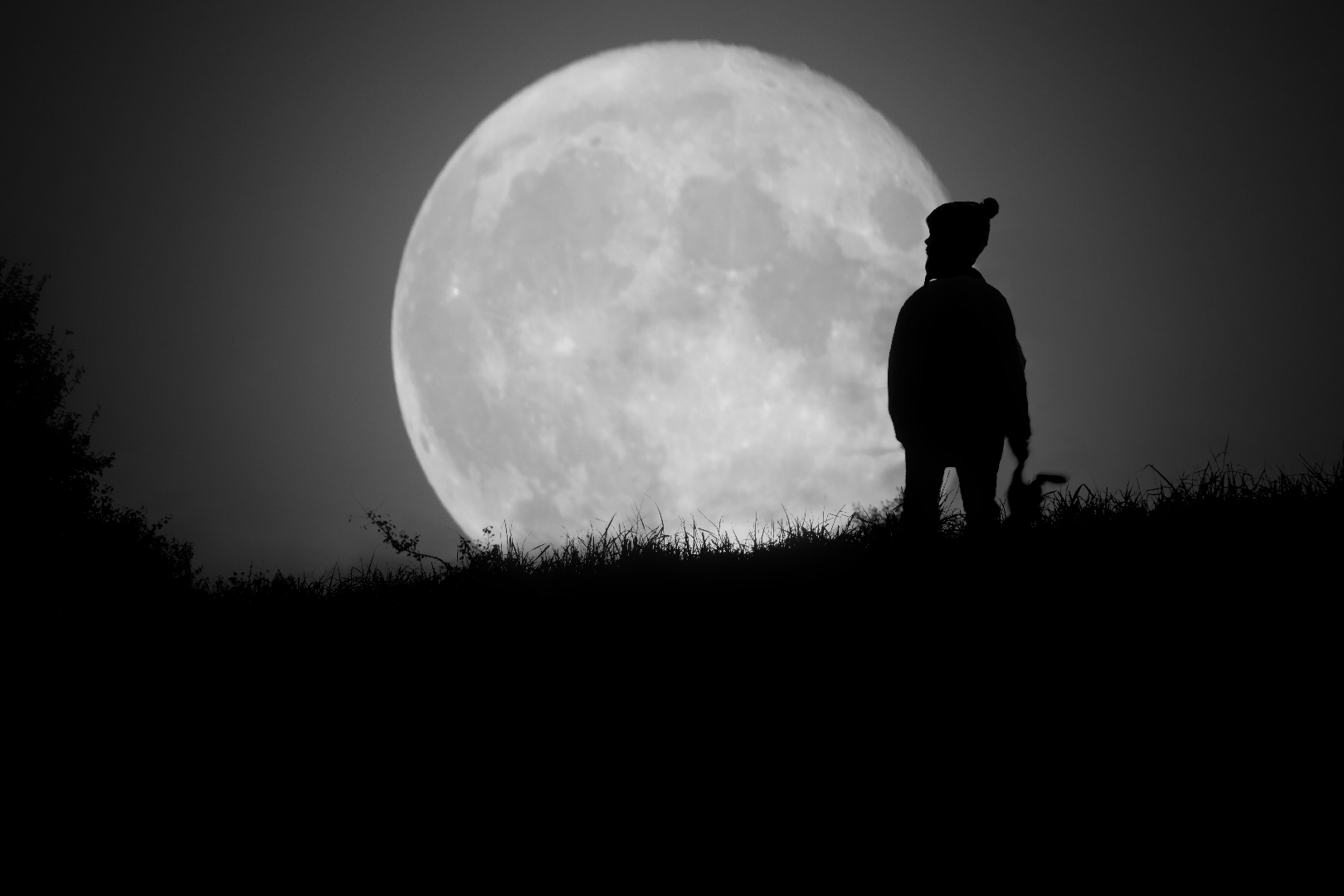 Hijo de la Luna Minke Groenewoud.jpg