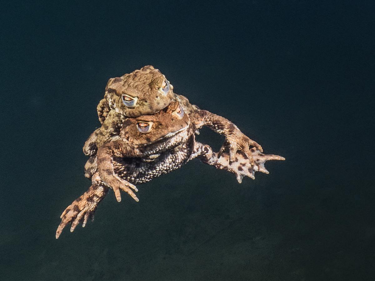 foto Brenda de Vries