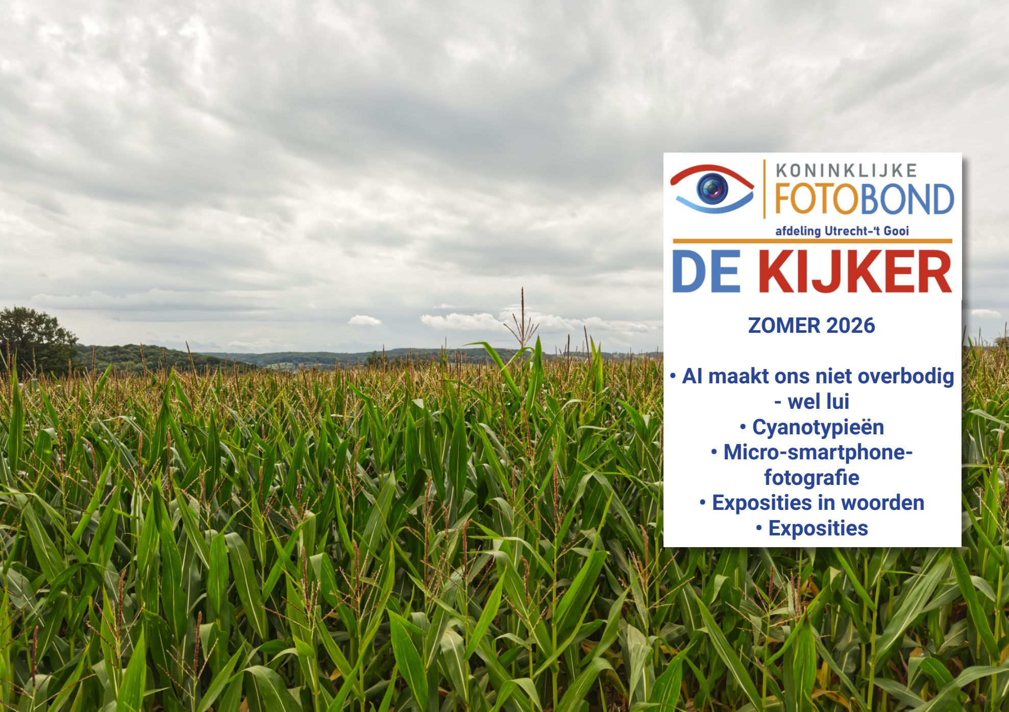 omslag de kijker zomer 2026.jpg
